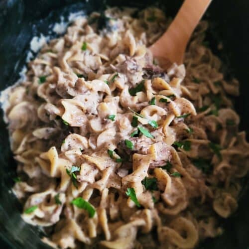 THE ABSOLUTE BEST SLOW COOKER BEEF STROGANOFF