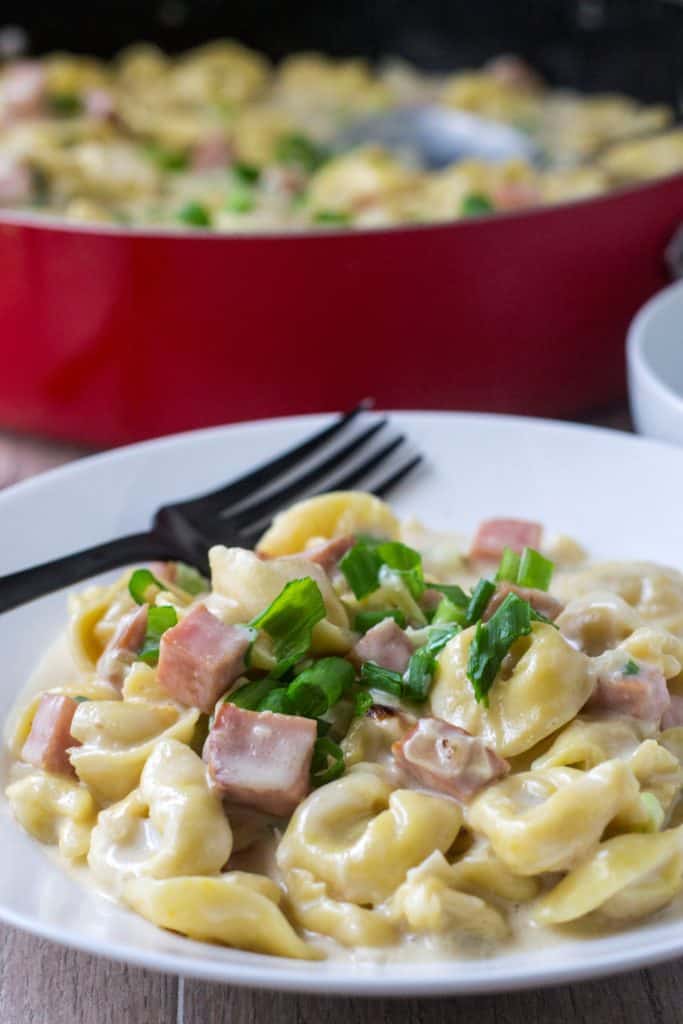 Cheese Tortellini with Ham in a bowl