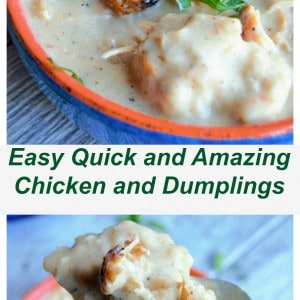 The Best Chicken and Dumplings | The Best Chicken and Dumplings is a hearty blend of roasted chicken and plump dumplings in a perfectly seasoned creamy soup. | Pack Momma | https://www.awickedwhisk.com