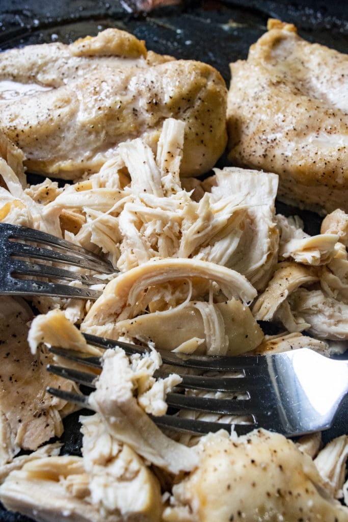 shredded chicken