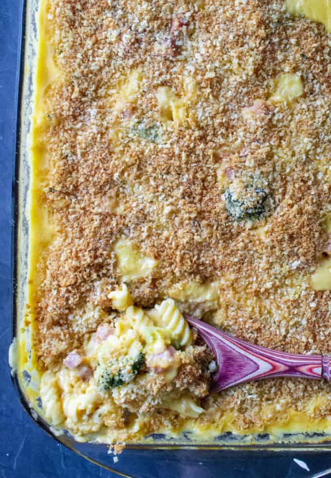 Broccoli Ham and Cheese Casserole is a classic family favorite.
