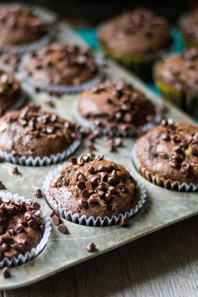 Chocolate Peanut Butter Banana Muffins in a muffin tin
