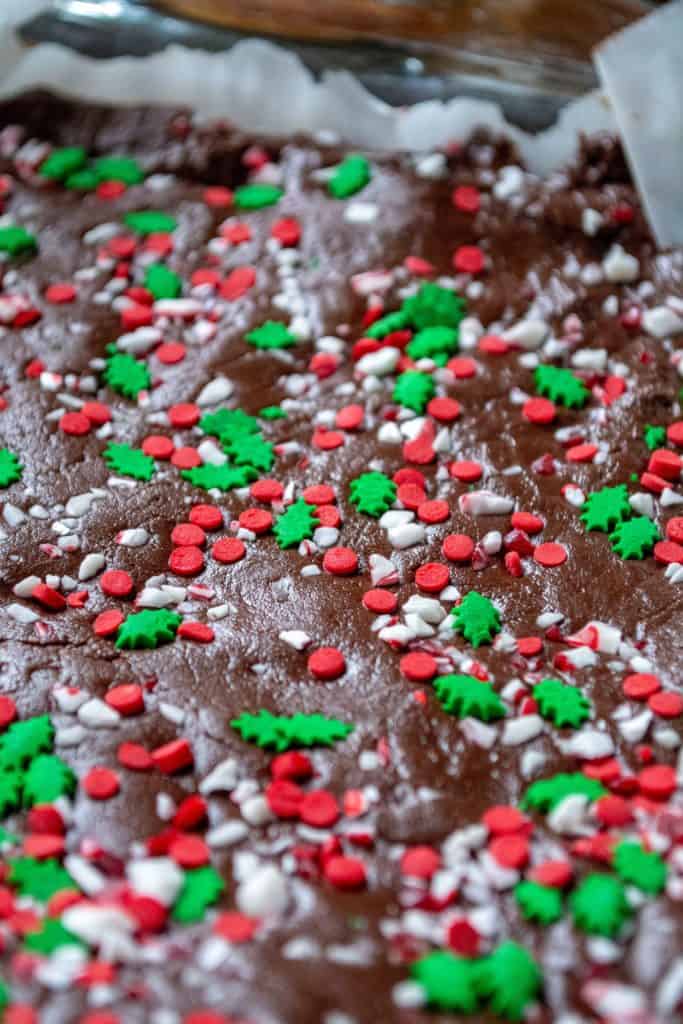 Chocolate Peppermint Fudge sprinkles
