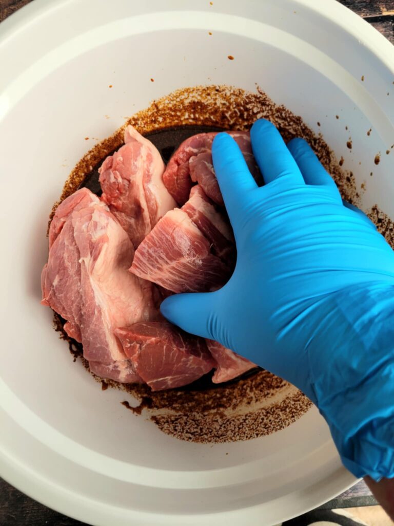 coating country style ribs in seasonings
